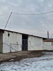 изу земельный дом жил массив кок жара: Продаю Ферма КРС, 1000 соток, Действующий, С оборудованием, Электричество — 2