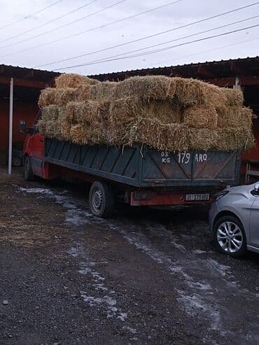 бодоно бишкек: 1укос аралаш доставка есть 70шт — 1