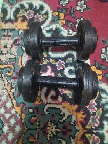 Разборные гантели, пара. - Материал: металл (блины и грифы). -