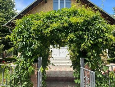 солнышко иссык куль цены 2021: Коттедж, ЦО Солнышко, Барбекю, Детская площадка, Баскетбольная площадка — 2