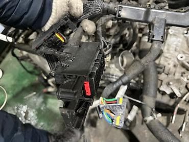 Жгут проводки двигателя с разъёмами - Полный моторный жгут: основной — 2