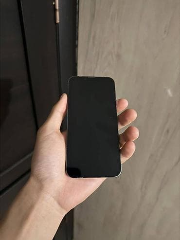 электронный китеп кыргызча: IPhone 13 Pro, Колдонулган, 256 ГБ, Графит, 75 % — 1