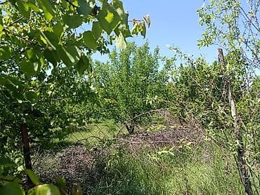 земля посевная: 60 соток, Для сельского хозяйства — 2