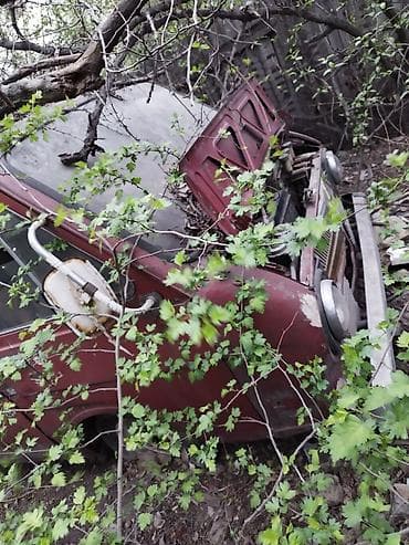 raf: RAF : 1984 г. — 3