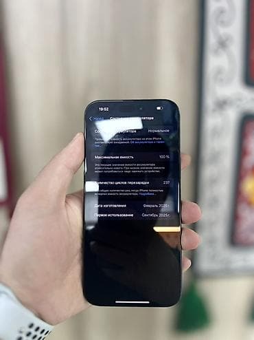 айфан 6: IPhone 16 Pro Max, 256 ГБ, Черный, 100 % — 3