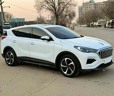 тесла 3: Электрический кроссовер Hongqi E-HS3 55T - Кузов: белый, 5‑дверный — 1