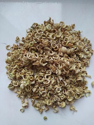 цветы для двора: Календула семена (в Пригородном ) — 4