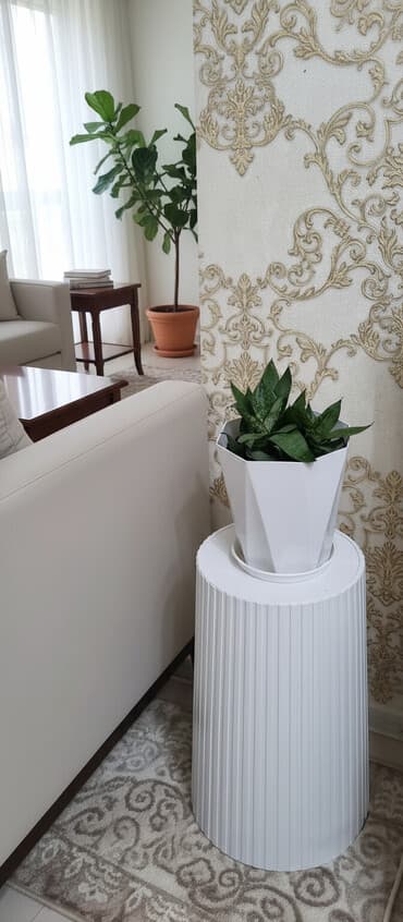 растения для аквариума: 🌸 РАСПРОДАЖА ЦВЕТОВ! 🌸 Цены от 300 сом! Красивые домашние растения для — 1