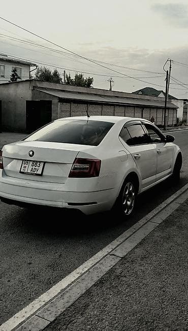 outback 2005: Skoda Octavia: 2016 г., 1.6 л, Автомат, Бензин, Лифтбек — 3