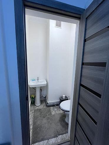 48: 1 комната, 48 м², Элитка, 7 этаж, Евроремонт — 8