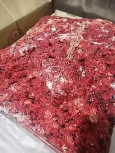 Фарш говядина для собак и кошек свежий замороженный без запаха и