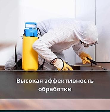 подъезд: Профессиональная дезинсекция помещений - Уничтожение домашних — 2