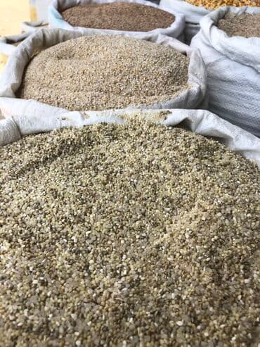 Другие животные: Корм оптом и розницу! Доставка по Канту! Кукуруза Пшеницы Ячьмень — 4