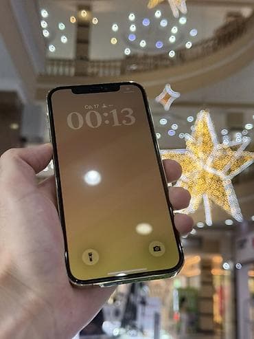 iphone 12: IPhone 12 Pro, 256 ГБ, Серебристый, 100 % — 2
