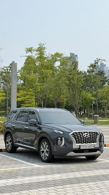 go park: Hyundai Palisade: 2020 г., 2.2 л, Автомат, Дизель, Кроссовер — 3