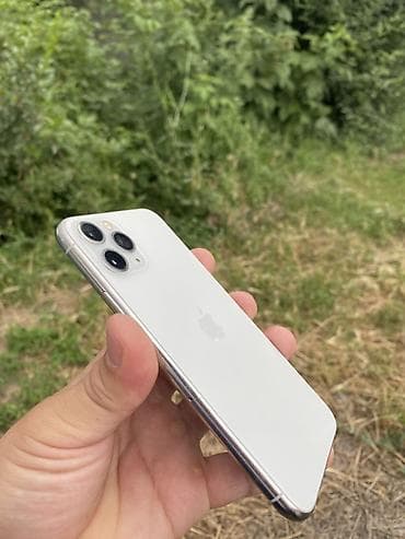 IPhone 11 Pro, Серебристый
