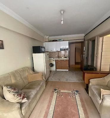 Батирлер: Студия, Чогуу жашоосу жок, Жарым -жартылай эмереги бар — 2