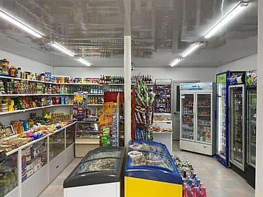 Недвижимость: Продукт: Действующий бизнес,Продовольственный магазин с коттеджом — 4