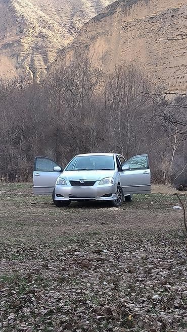 на прадо и жх: Toyota Corolla: 2003 г., 1.5 л, Автомат, Бензин, Хэтчбэк — 4