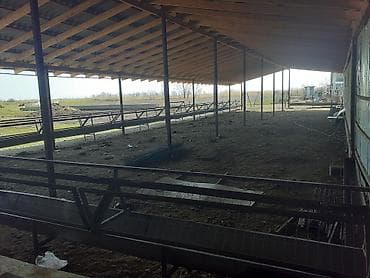 швед уйлар: Представляем вам сараи под ключ навесы кормушки для баранов овец — 4