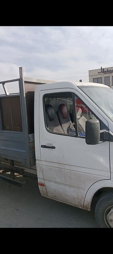 Собаки: Продаю | Коза (самка) — 10