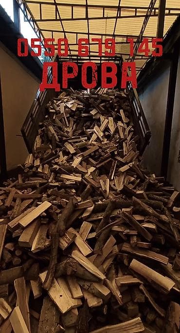 Дрова: Дрова — 1
