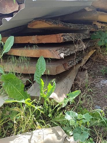 ротанга ротанг: Продаю дуб Разной длины, Ширина 6см Находится в г. Токмок, Цена — 1
