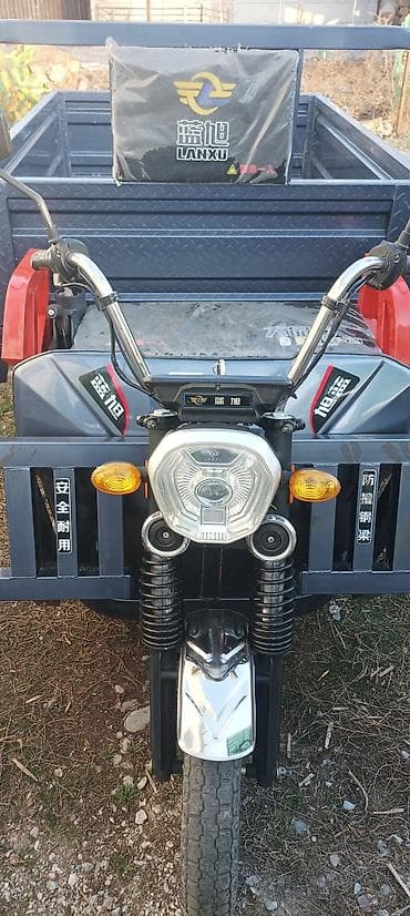 электрический грузовой мотоцикл: Легкий грузовик — 1