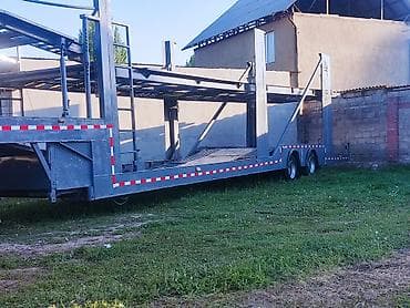 собаки овчарка: Прицеп, DAF, Автовоз — 5