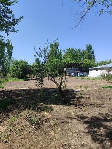 5000 сом кино: Продается дом на участке 18 соток, возле таможни Кордай, имеется — 6