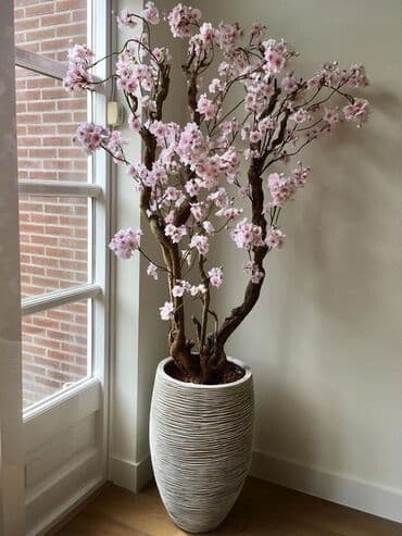 искусственные растения: Искусственные растения разных видов для уютного интерьера. Возможны — 3