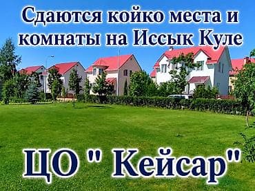 Ысык-Көлдө конок үйлөр: 🏡 Сдаются койко-места и уютные комнаты на Иссык-Куле! Приглашаем вас — 1
