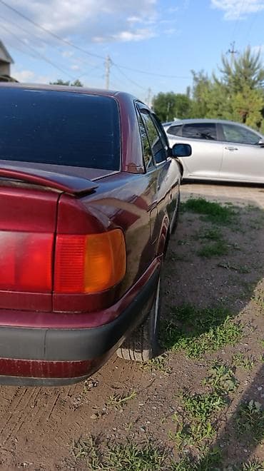 Audi 100: 1992 г., 2 л, Кол менен иштөөчү, Бензин, Седан — 6