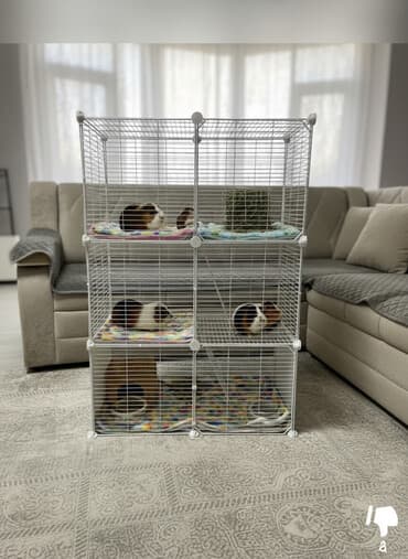 отдам крысу: Продается клетка одна. Многоуровневая клетка для — 1