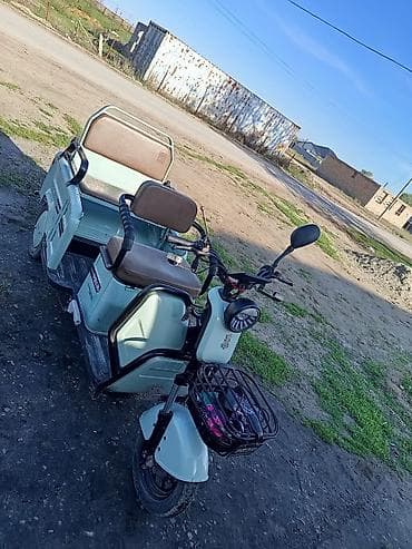 скутер 2025: Электрический трёхколёсный скутер-трицикл Flying Pigeon - Компоновка — 1