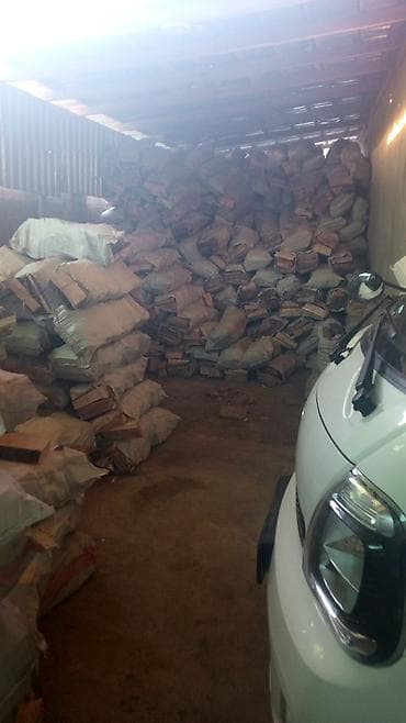 лесу: Дрова — 10