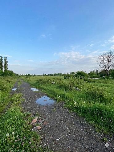 земля беловодск: ‼️Промзона ждёт своего хозяина‼️ 🧭Беловодское. 📌 6 га. 300х200 — 5