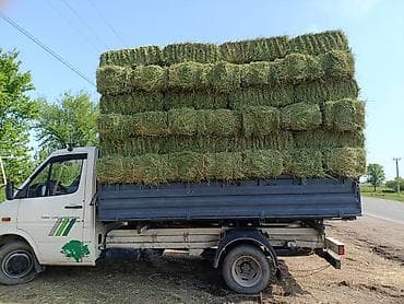 кукуруза цена бишкек: Продаю Чистый Клевер Элита 2-кос Сухой Сеновал. Плотный Зелёный тюки — 4