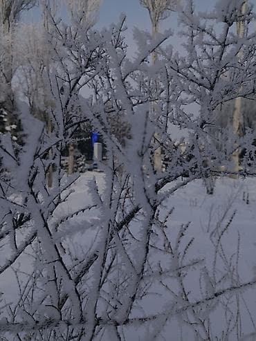 Юрист рассматривает предложения о работе от физических и юридических at lalafo.kg Юрист рассматривает предложения о работе от физических и юридических