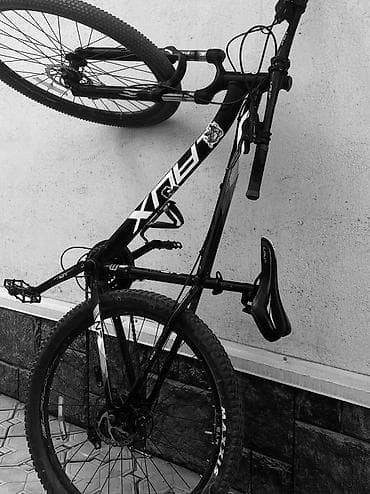 speedone frame: Горный велосипед, Laux, Рама M (156 - 178 см), Алюминий, Б/у — 4