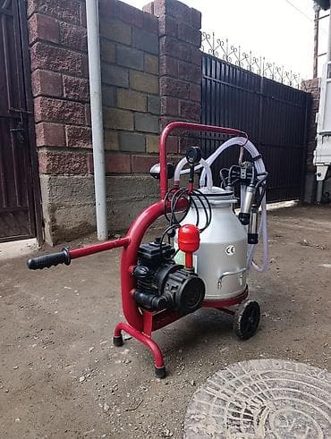 Продаю в идеальнейшем состоянии турецкий доильный аппарат для коров at lalafo.kg Продаю в идеальнейшем состоянии турецкий доильный аппарат для коров