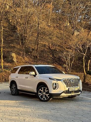 Hyundai Palisade: 2020 г., 2.2 л, Автомат, Дизель, Кроссовер