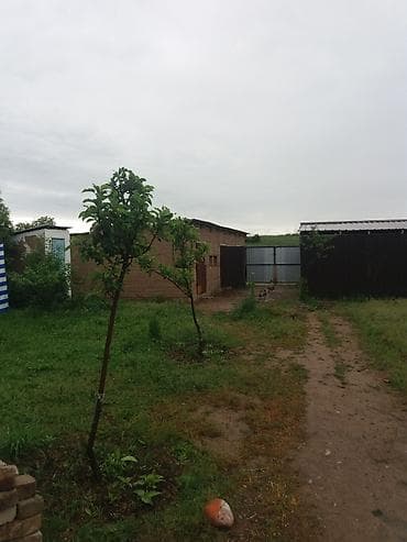 карабалта вознесеновка дом: 65 м², 3 комнаты, Бронированные двери, Амбарная, Подвал, погреб — 7