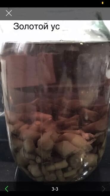 Золотой УС -700 . Алоэ 1500