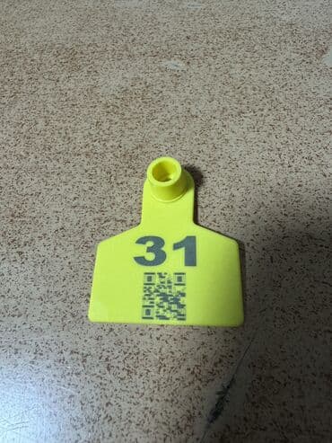 вольеры для собак бу: Бирки для овец, сделанные из материала полиэтилена. Можно через — 6