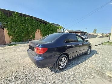 Toyota Corolla: 2003 г., 1.8 л, Механика, Бензин, Седан