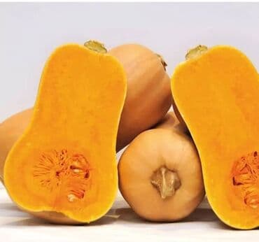 Матильда тыква баттернат, также известная как мускатная тыква, имеет