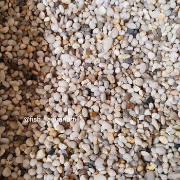 Собаки: Аквариумные пески. Грунты для аквариума. Большой выбор. Качественные — 6