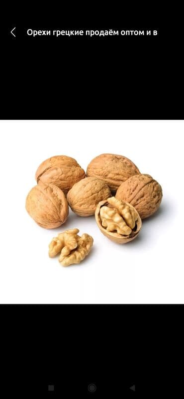 Куплю орехи грецкие