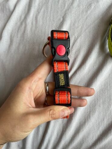 купить ошейник для щенка: Ошейник для собак оранжевого цвета, выполненный из прочного нейлона — 2